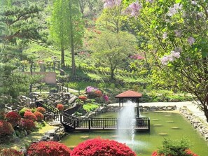 花园景观