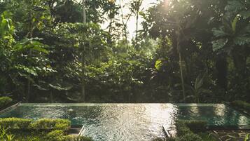 An infinity pool surrounded by lush greenery.