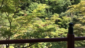 A lush, green forested area with a red railing in the foreground. - Koyasan Sekishoin (Koya)