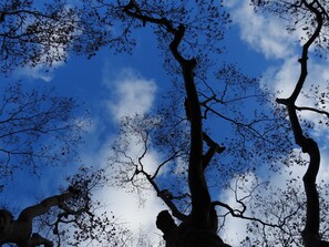 Vistas desde el alojamiento