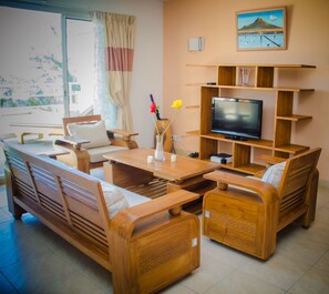 42-inch LED TV with satellite channels, TV, DVD player