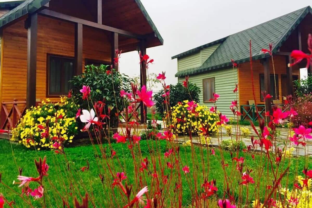 1 habitación, sábanas de algodón egipcio y ropa de cama de alta calidad