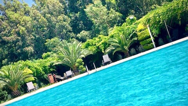 Una piscina con acqua cristallina, circondata da vegetazione lussureggiante e palme.