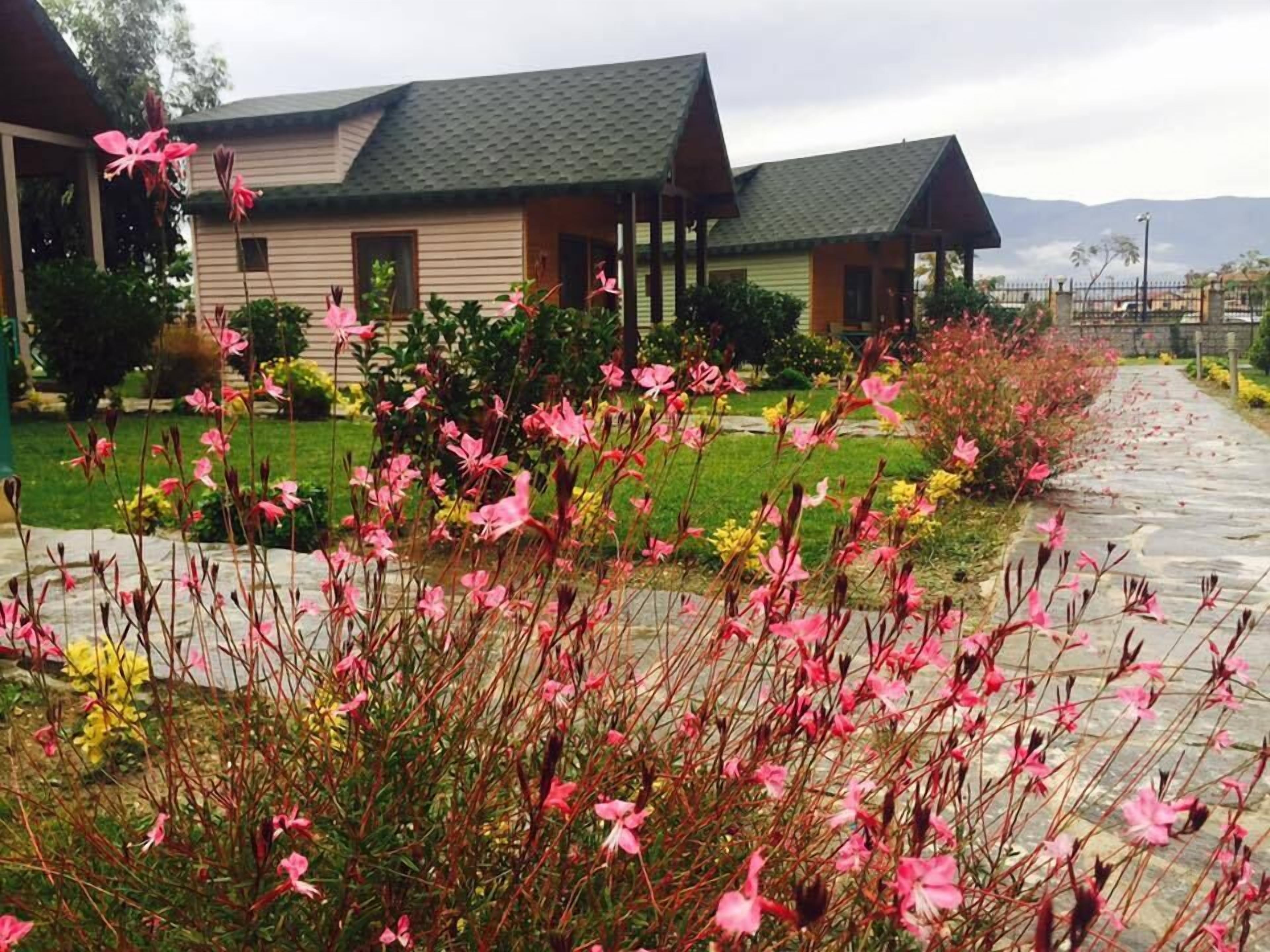 Classic Tree House, 1 Double Bed with Sofa bed, Courtyard View, Garden Area | Garden view