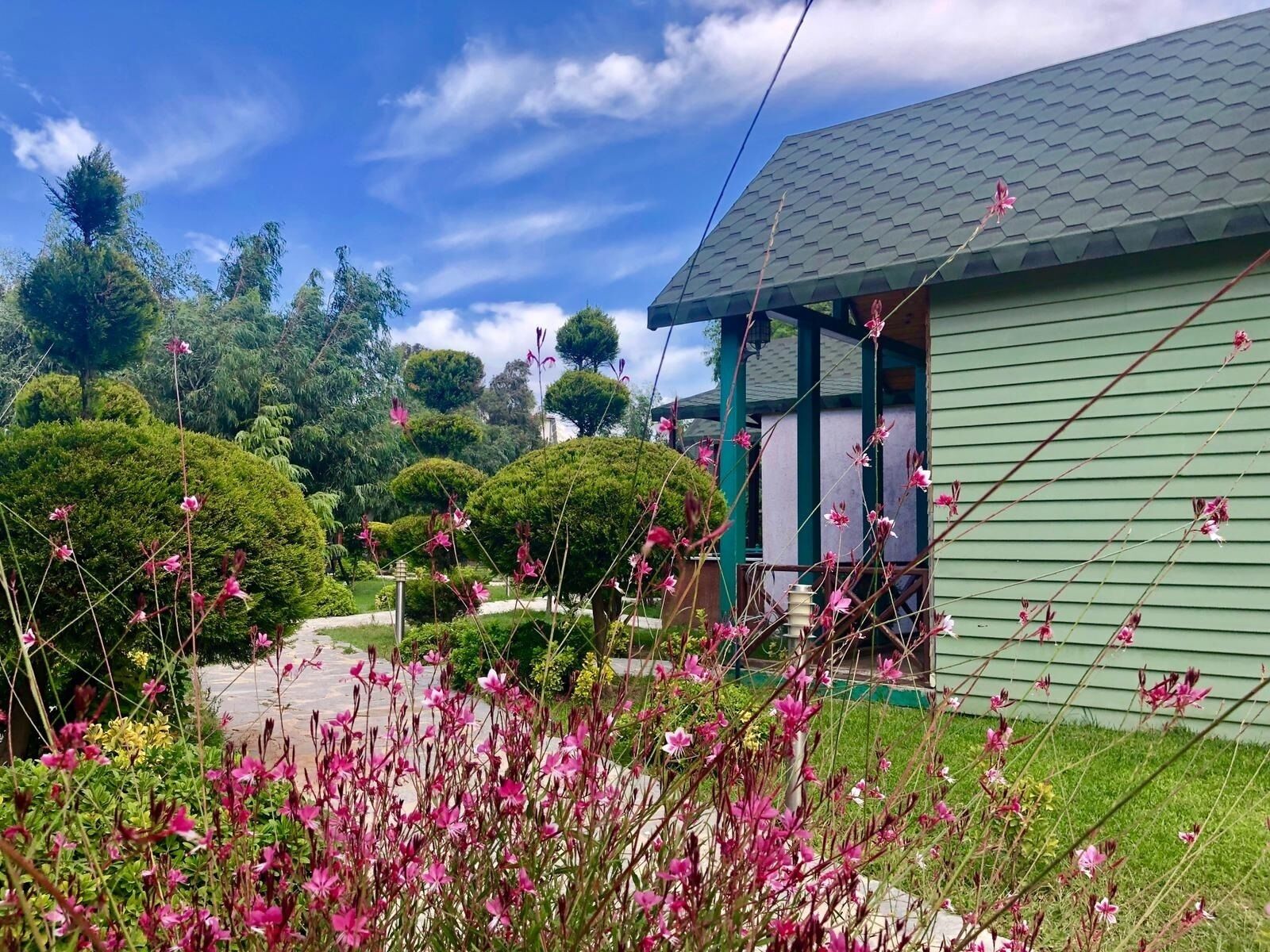 A house with a green exterior and a grey roof, surrounded by lush greenery and flowering plants.