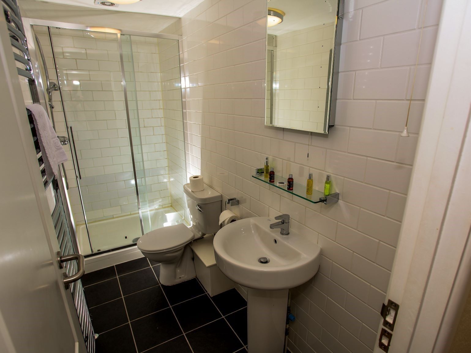 A bathroom with a glass shower enclosure, a toilet, a sink, and a mirror above the sink.