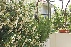 A lush garden with white flowers and green foliage, a white wall, and a red-tiled roof in the background. - Marjan park (Split)