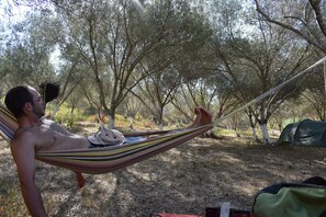 Terrein van de accommodatie