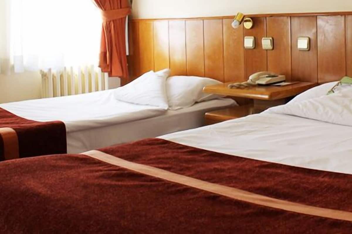 A hotel room with two single beds, a wooden headboard, a bedside table with a phone, and a window with curtains.
