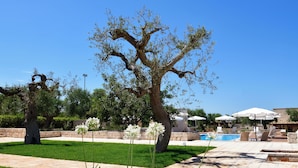 A courtyard with a swimming pool, outdoor seating, and a large tree.