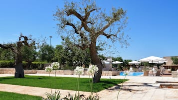 Outdoor pool, sun loungers