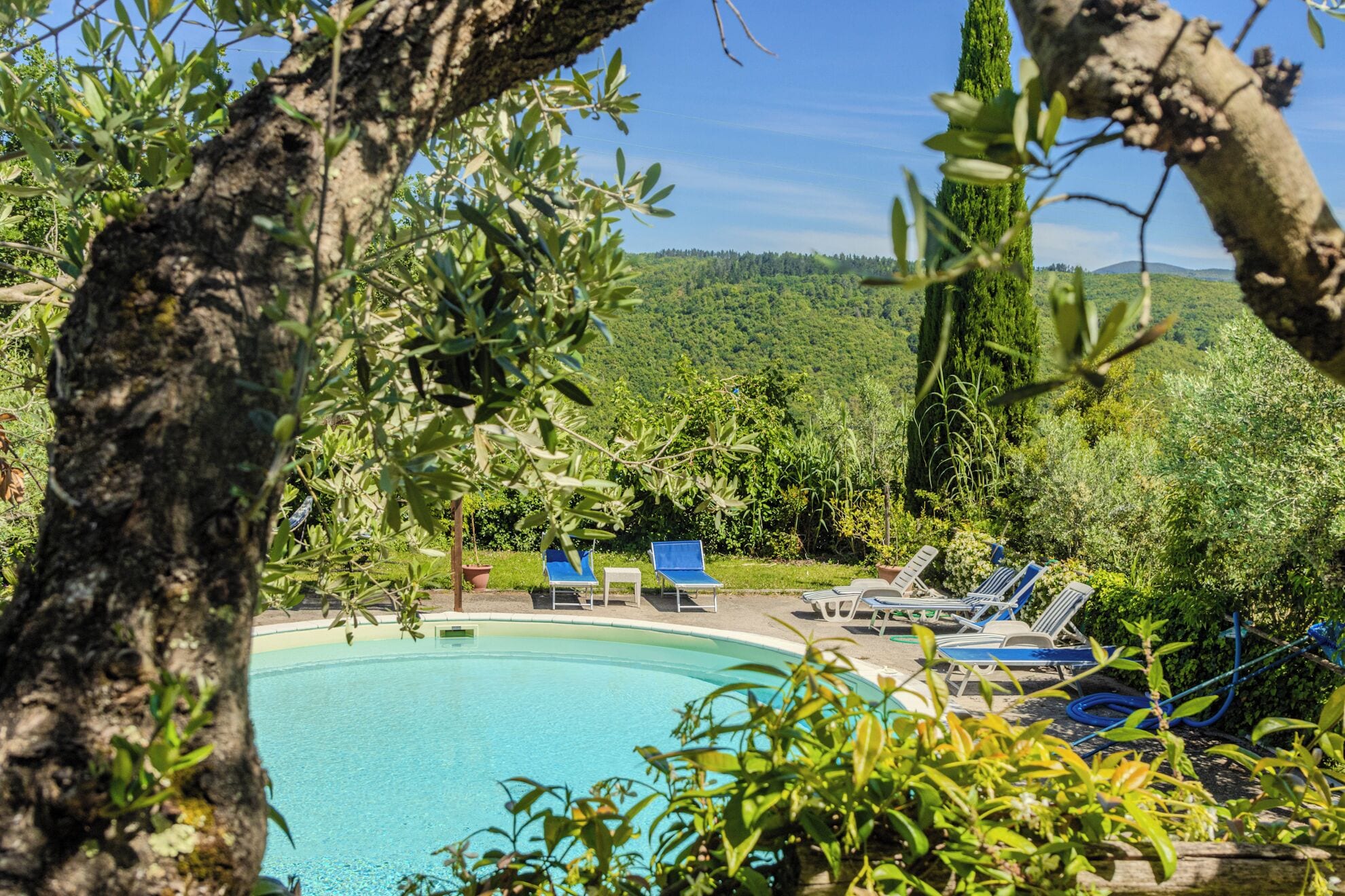 A pool surrounded by lounge chairs and greenery.