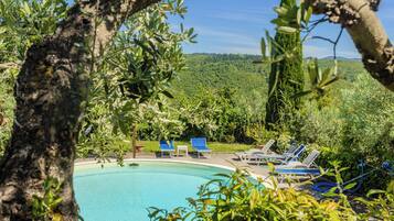 A pool surrounded by lounge chairs and greenery.