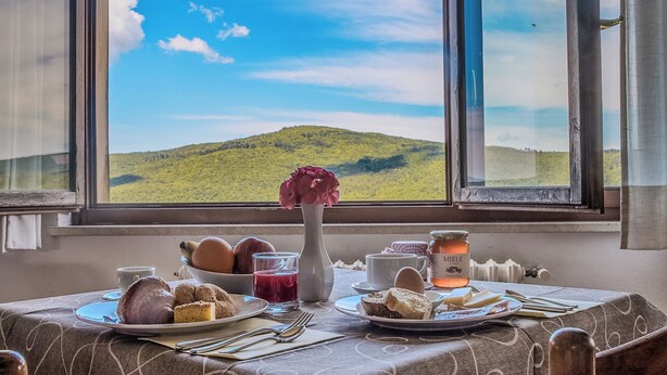 Une table à manger avec des assiettes remplies de nourriture, un vase de fleurs et une vue sur un paysage verdoyant par de grandes fenêtres.