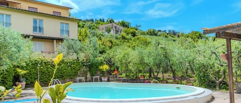 Seasonal outdoor pool, pool umbrellas, sun loungers