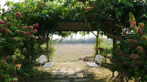 A garden with a pergola, two white chairs, and a stone pathway leading to a field.