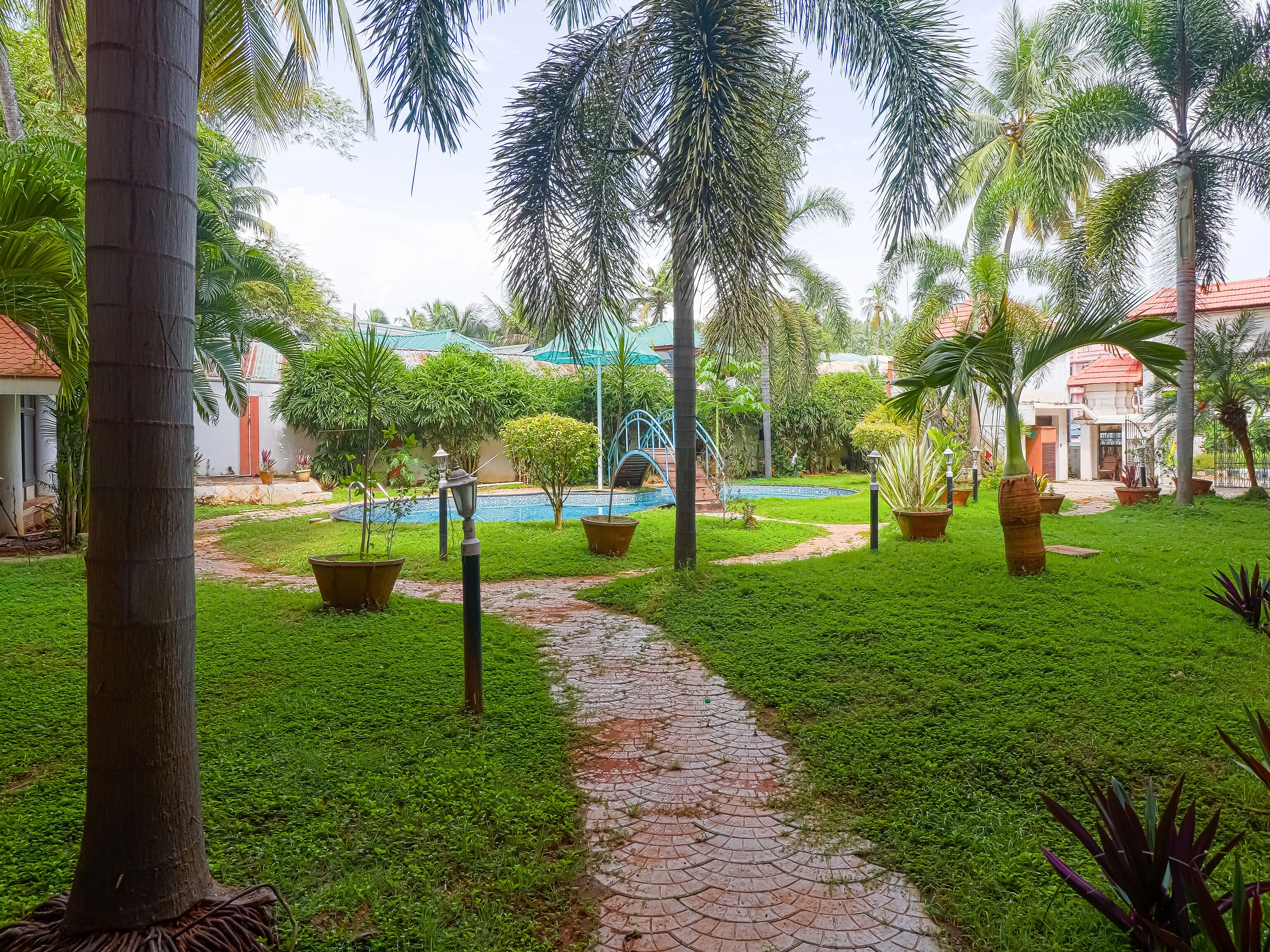 A lush garden with a pathway leading to a pool area, surrounded by palm trees and potted plants.