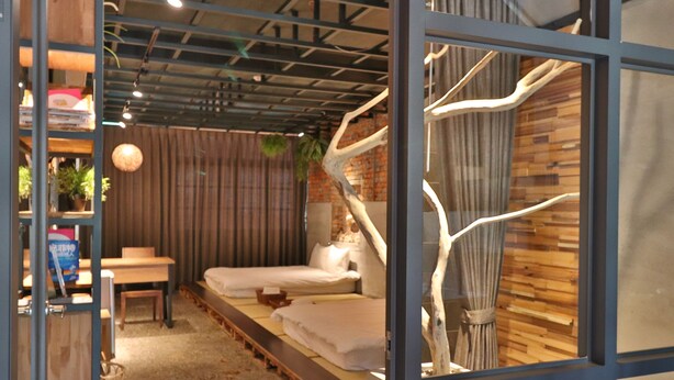 Una habitación con una cama, una mesita y una silla. Se observa una planta y una lámpara colgante.