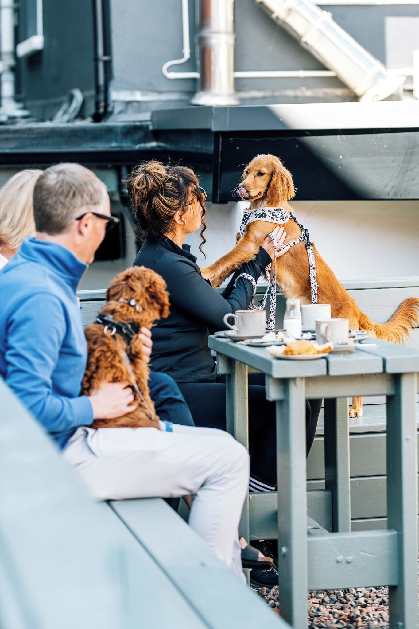 Un grupo de personas sentadas en una mesa al aire libre con un perro con correa.