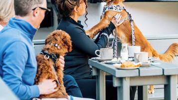 Un grupo de personas sentadas en una mesa al aire libre con un perro con correa.