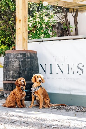 Two dogs sitting in front of a sign that reads 'THE NINES.' - The Nines, Bangor Marina (Bangor)