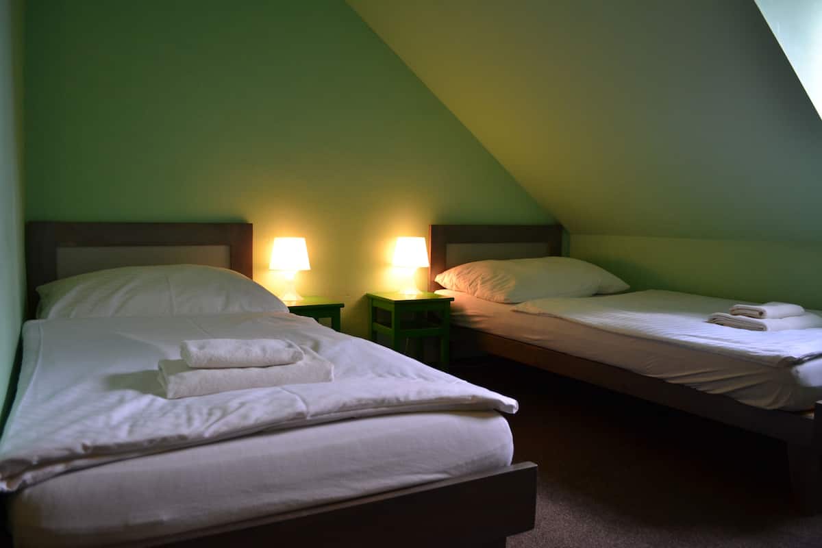 economy double or twin room (attic) | desk, free cots/infant beds, rollaway beds, free wifi