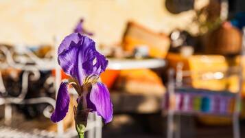 Una flor de lirio púrpura enfocada, con un fondo borroso de un comedor.