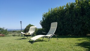 Two lounge chairs in a grassy outdoor area with a hedge and a lamp post in the background. - Agriturismo Podere Casa al Vento (Montepulciano)
