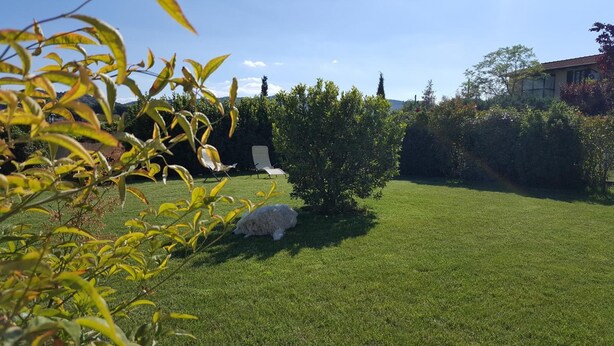 A well-maintained lawn with a small tree and a rock, and a chair in the background. - Agriturismo Podere Casa al Vento (Montepulciano)