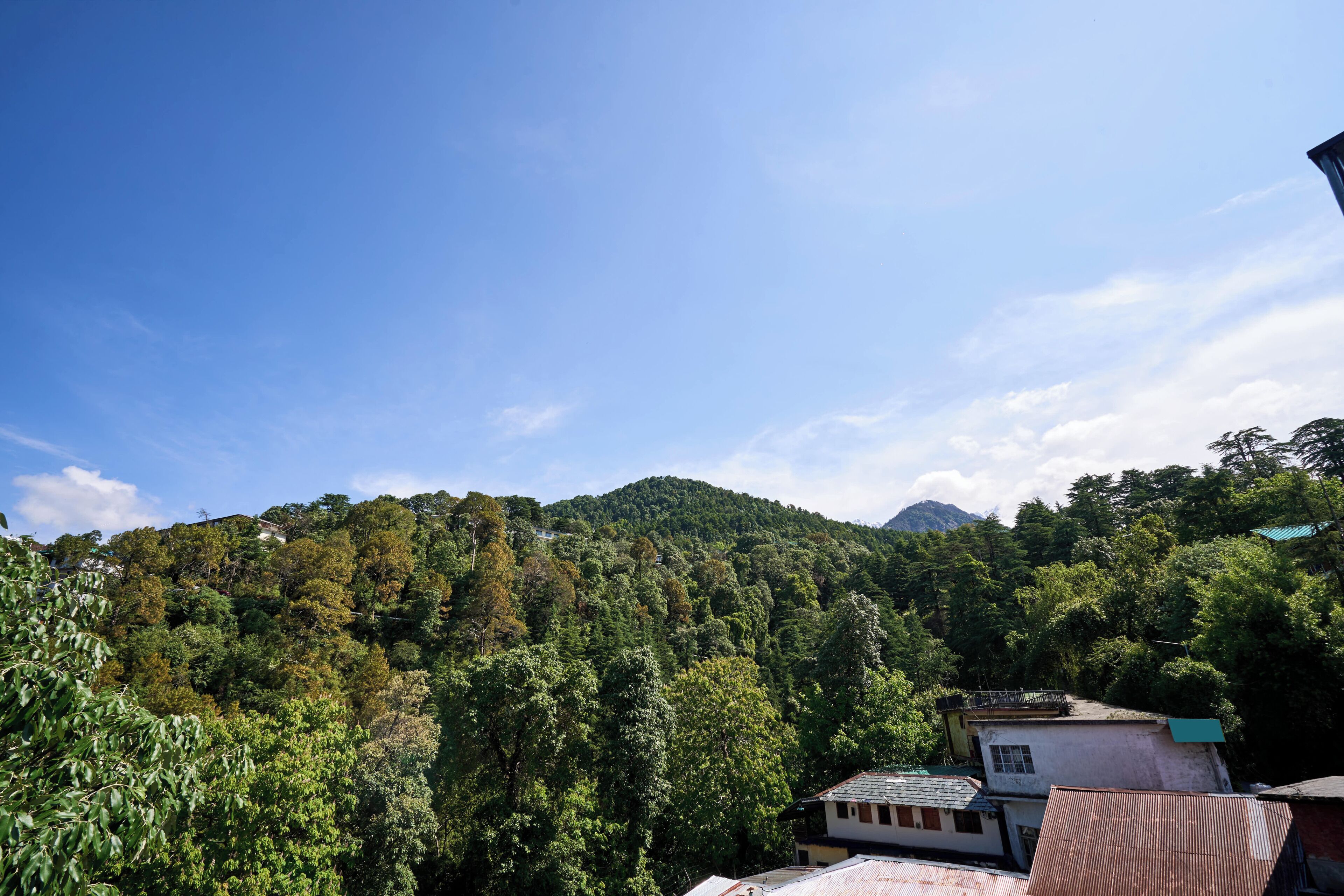A mountainous landscape with dense forest, a few buildings, and a clear sky.