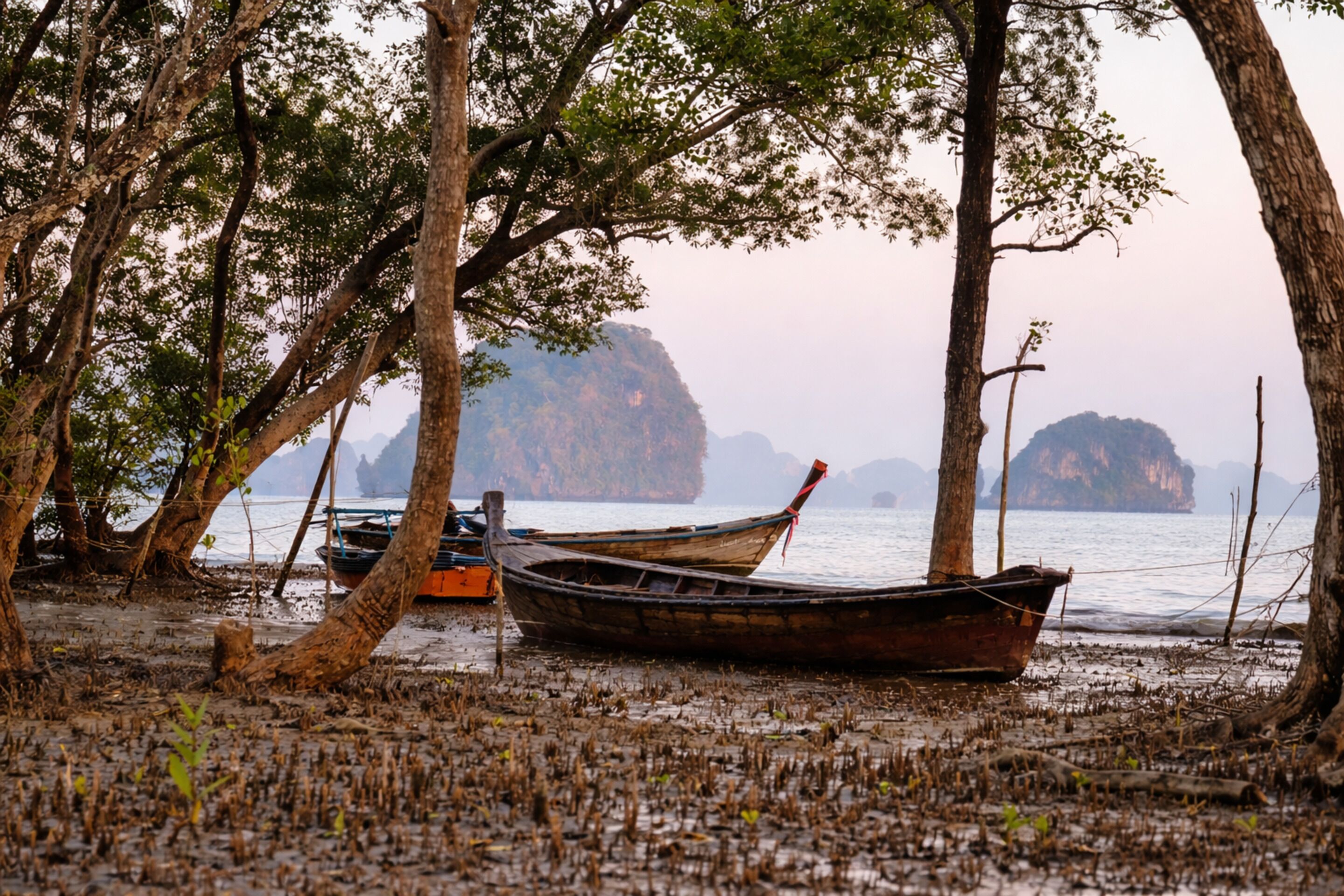 Un bateau était amarré près d’arbres, au bord d’une étendue d’eau calme, avec des îles qui se dessinaient à l’horizon.