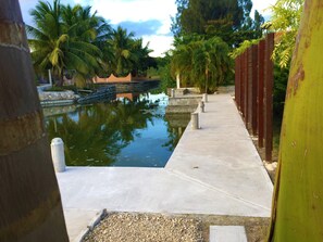 Property grounds - Corozal Home Pool, Dock, Fishing, 3 Bedrooms, 2 Kitchens, Ideal for Families (Corozal Town)