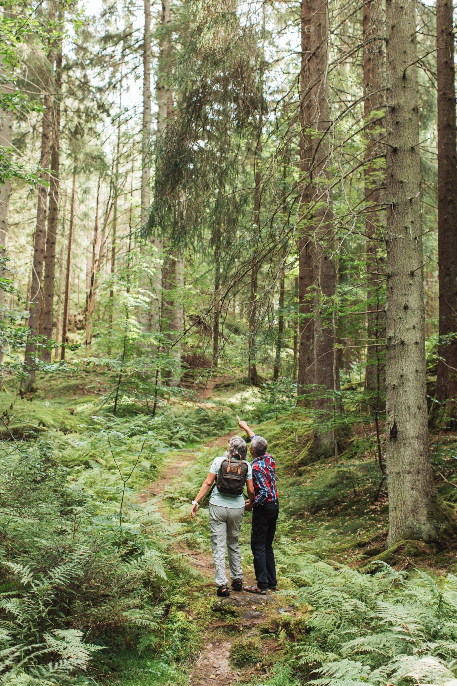 A forest path with two people walking.