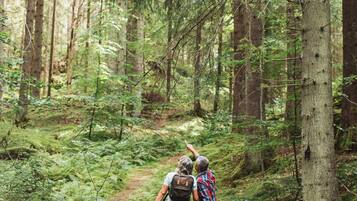 A forest path with two people walking.