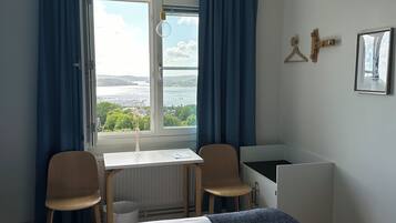 Habitación Premium con 1 cama doble o 2 individuales | Escritorio y espacio para trabajar con un portátil