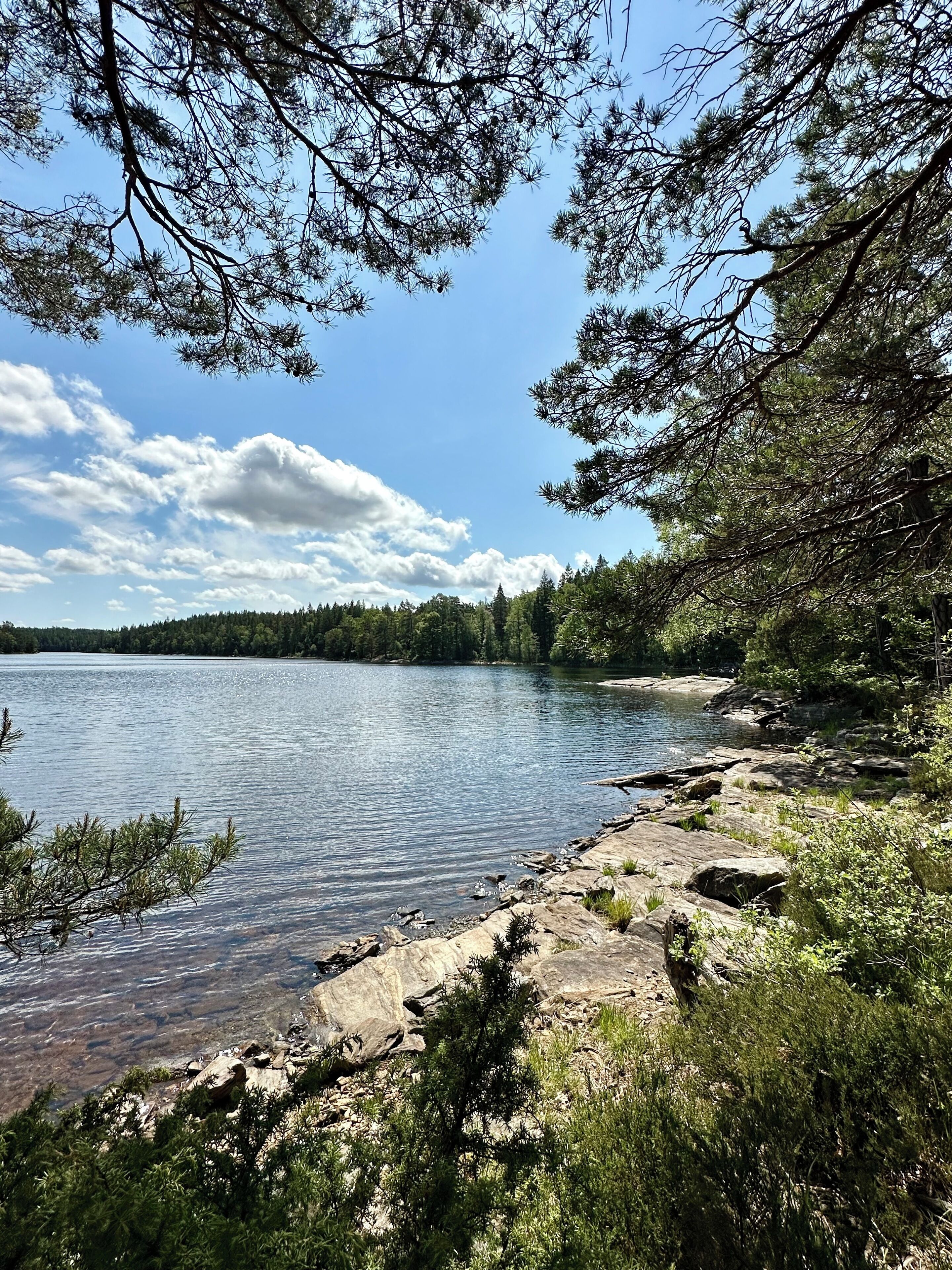 Une vue sur le lac, avec des rives rocheuses et une végétation dense.