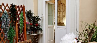 Artistic Charming House