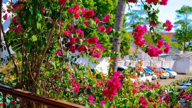 A balcony with a wooden railing overlooking a parking area with cars and a building in the background. - Garden Lodge (Zanzibar Town)