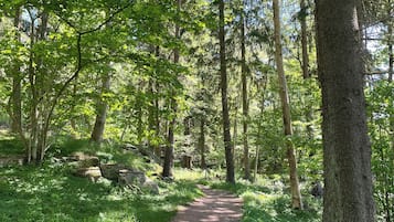 Hiking