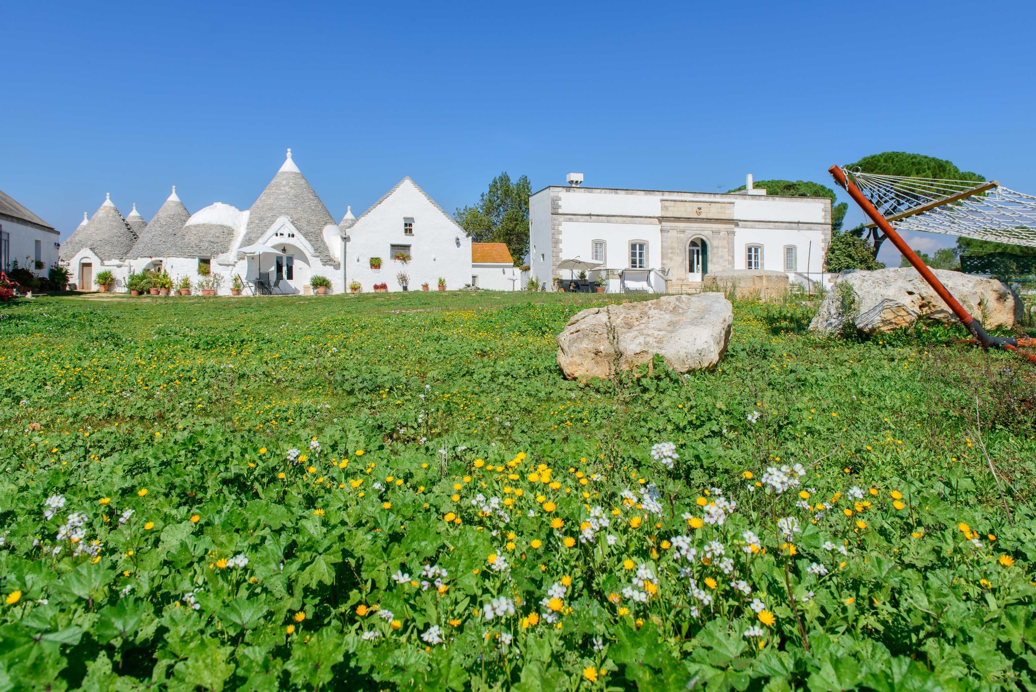 A field of green with yellow and white flowers, a white building with a stone roof, and a hammock.
