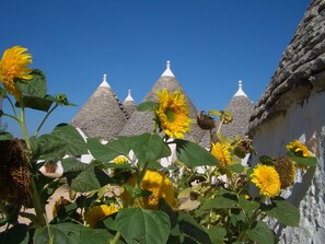 Exterior detail - Masseria Pozzo Tre Pile  (Martina Franca)