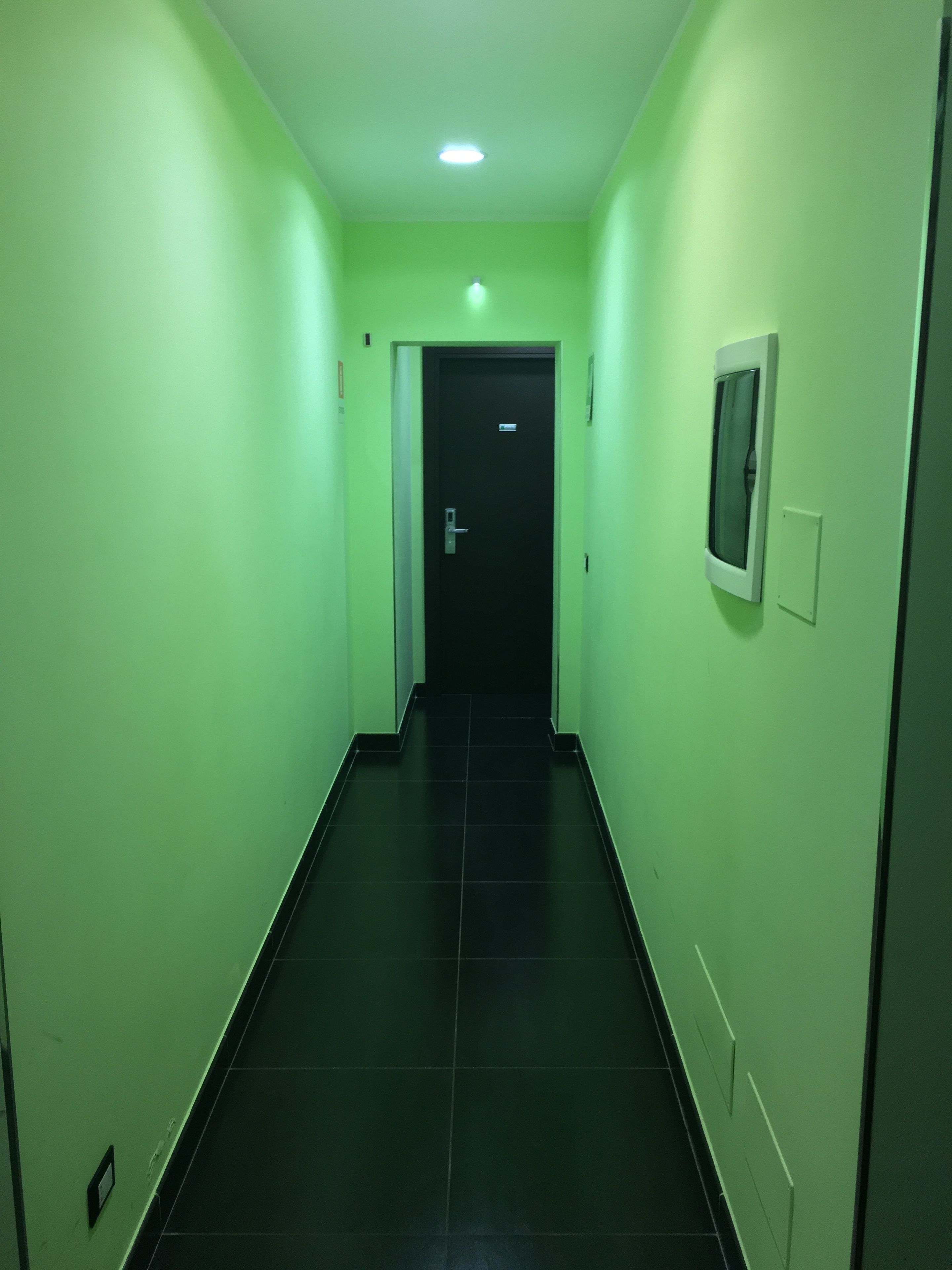 A narrow hallway with green walls and black tiled flooring, leading to a door at the end.