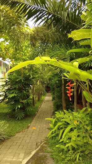 Garden - Bedhot Homestay (Sewon)