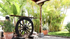 Property grounds - Villa Chiara B&B (San Miguel de Abona)