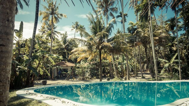 Outdoor pool - drivethru Surfcamp - Hostel (Matara)