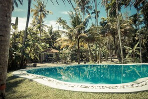 Outdoor pool - drivethru Surfcamp - Hostel (Matara)