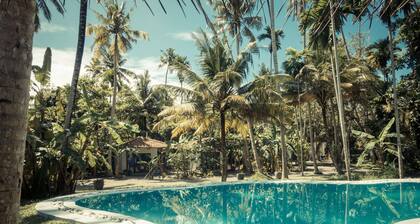 drivethru Surfcamp - Hostel