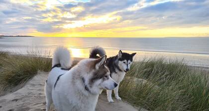 Y Branwen Hotel - Adults Only and Dog Friendly