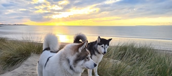 Y Branwen Hotel - Adults Only and Dog Friendly