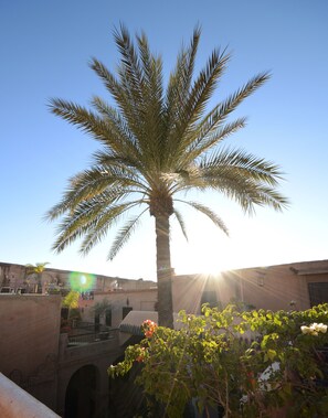 Exterior - Riad Palmier (Marrakech)